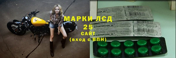 PSILOCYBIN Магас