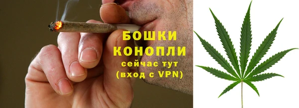 PSILOCYBIN Магас
