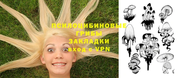 PSILOCYBIN Магас