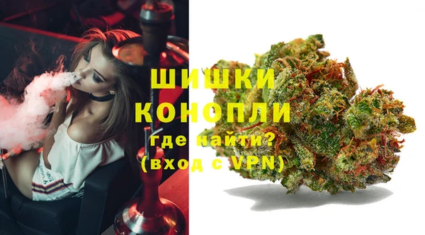 индика Липки