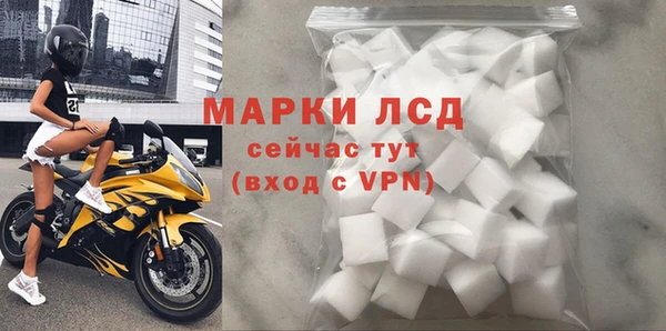 PSILOCYBIN Магас