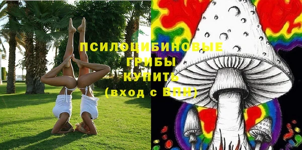 PSILOCYBIN Магас